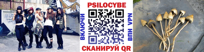 Псилоцибиновые грибы MAGIC MUSHROOMS Купить закладки Гусь-Хрустальный